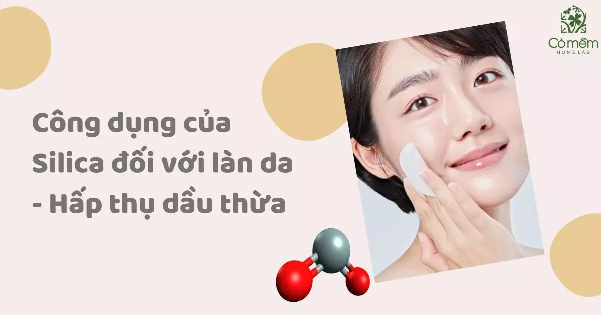 Khám phá silica là gì và công dụng của nó