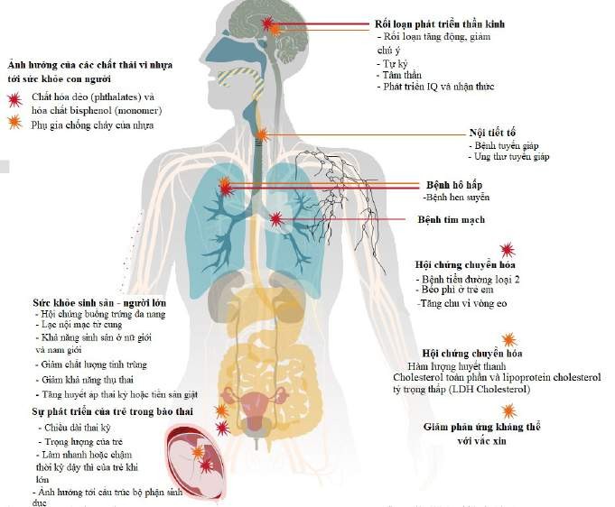 Triệu chứng khi nồng độ Formaldehyde cao: Nhận biết và xử lý hiệu quả