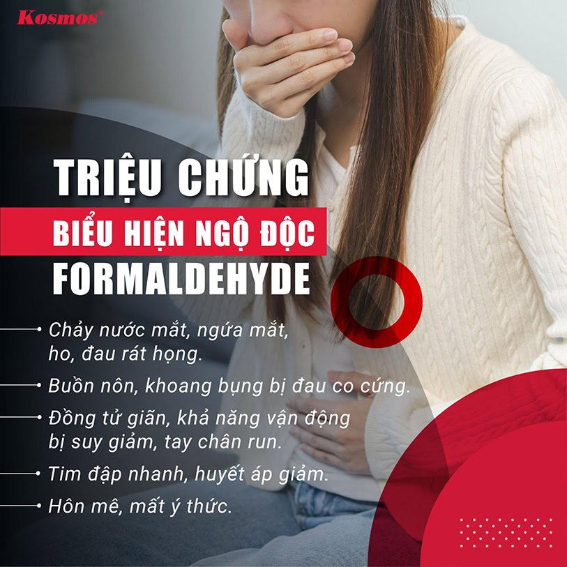 Cập nhật Hướng dẫn WHO về Formaldehyde mới nhất