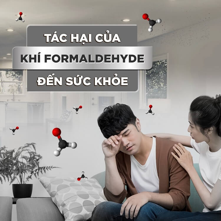 Dịch Vụ Loại Bỏ Formaldehyde Chuyên Nghiệp - Vì Sao Cần Thiết?