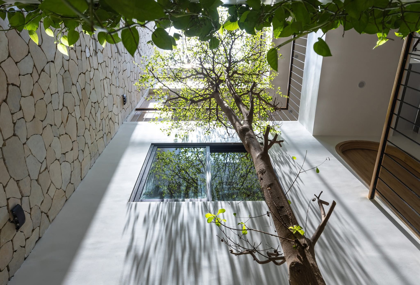 Mẹo hay xử lý mùi hôi nhà vệ sinh nhanh chóng